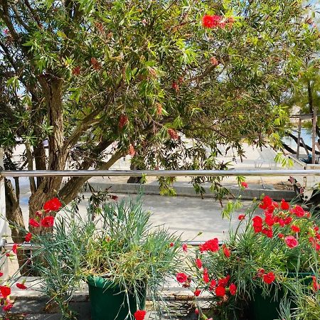 Apartments Vukman Seget Vranjica Kültér fotó