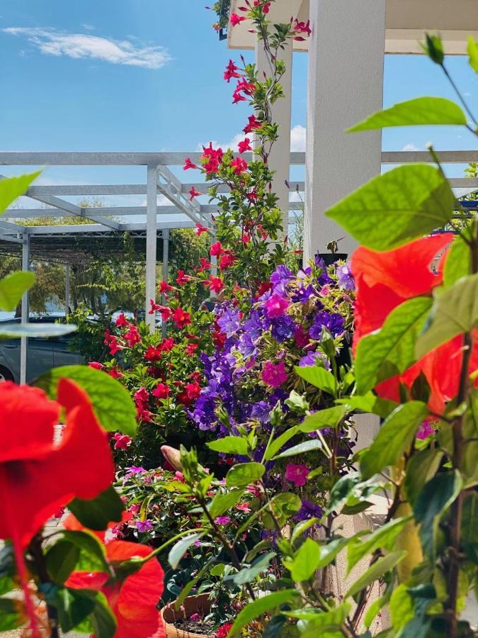 Apartments Vukman Seget Vranjica Kültér fotó